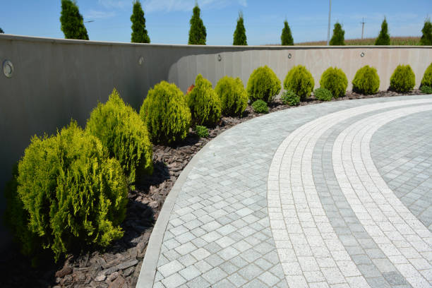 Best Best Driveway Pavers  in Wolcottville, IN